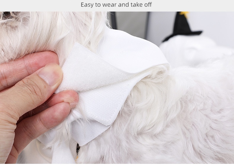 Halloween Ghost Pet Costume with Pumpkin Design and Mini Witch Hat